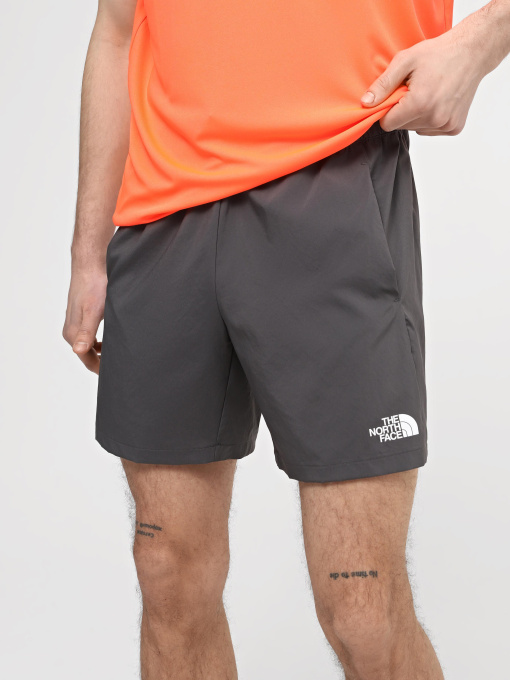 Шорты спортивные The North Face M Ma Woven Short Graphic модель NF0A87JNWUO1 Фото