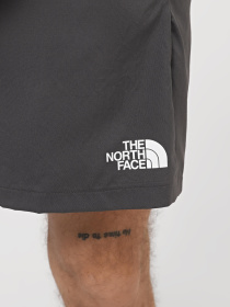 Спортивні шорти The North Face M Ma Woven Short Graphic модель NF0A87JNWUO1 Фото
