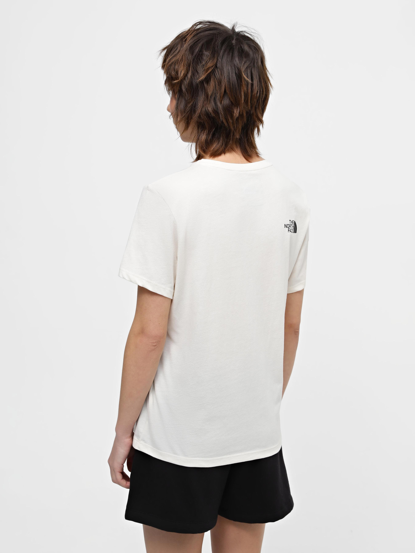 Футболка The North Face W Foundation Coordinates Graphic Tee модель NF0A882WQLI1 Фото