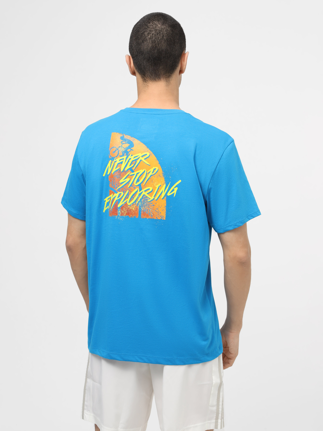 Футболка The North Face M Foundation Tracks Graphic Tee модель NF0A882YRI31 Фото