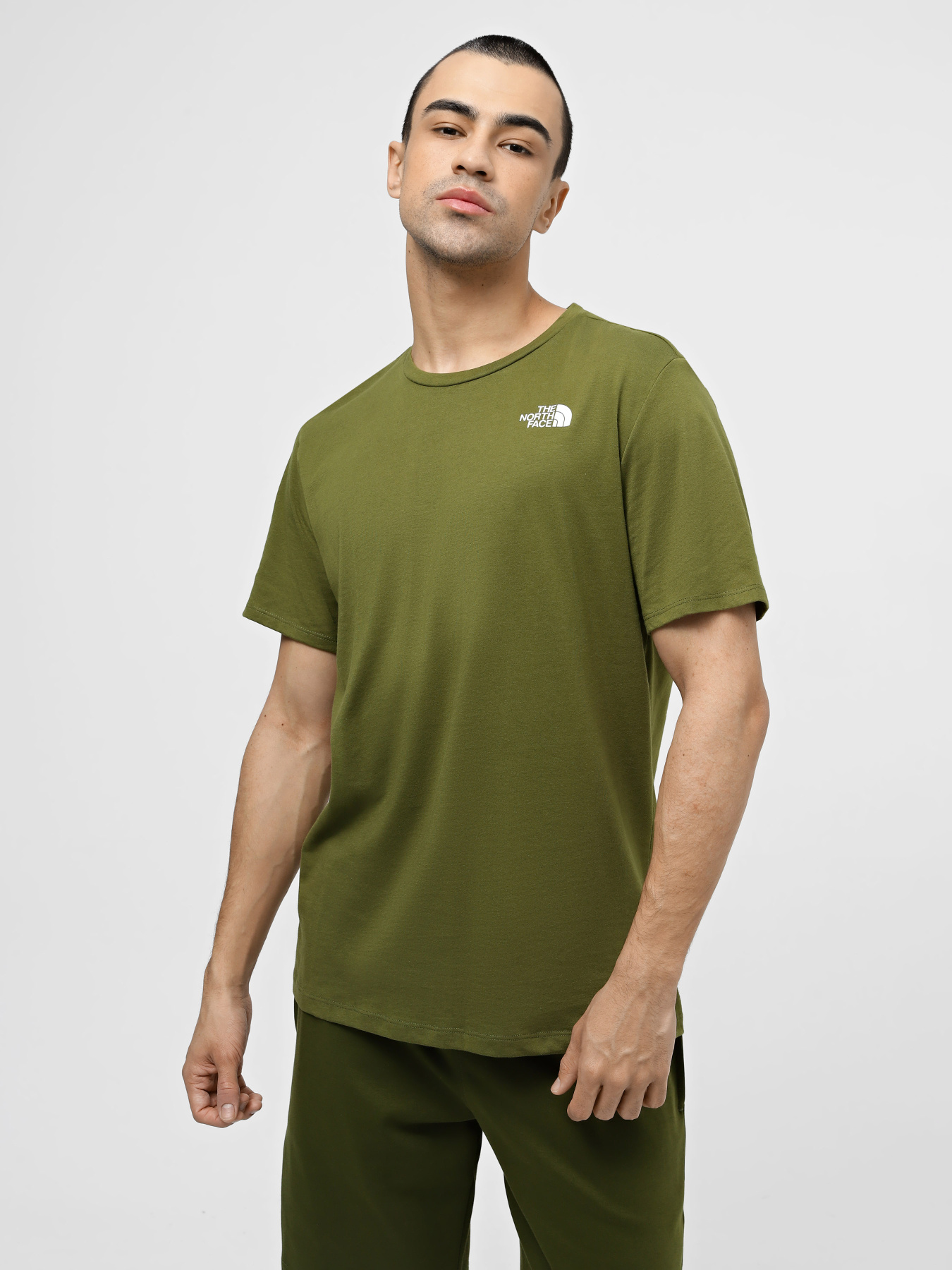 Футболка The North Face M Foundation Mountain Lines Graphic модель NF0A8830PIB1 Фото