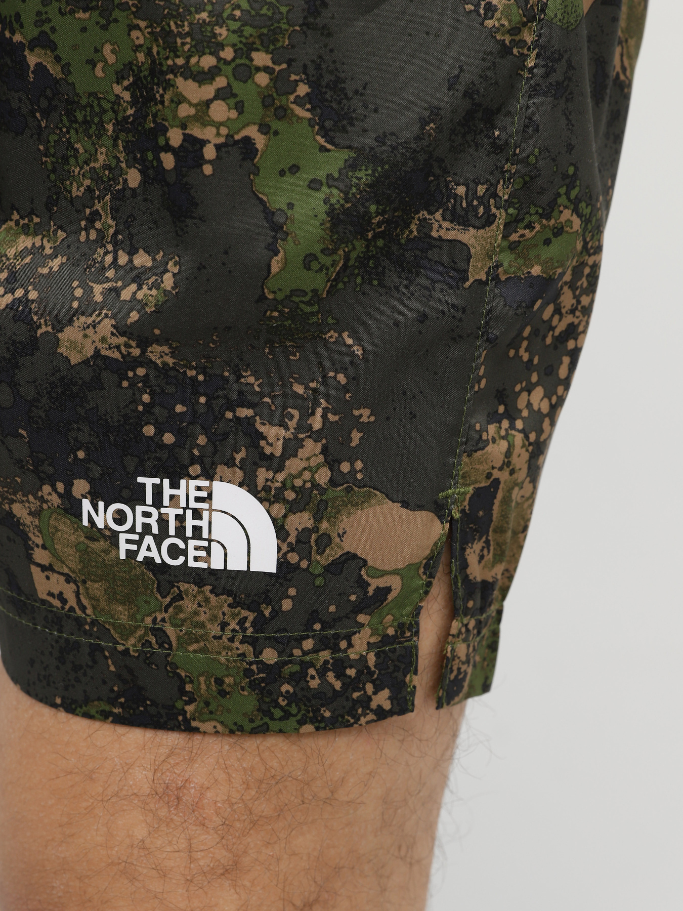 Шорты спортивные The North Face 24/7 Printed Performance Shorts модель NF0A886W1BI1 Фото