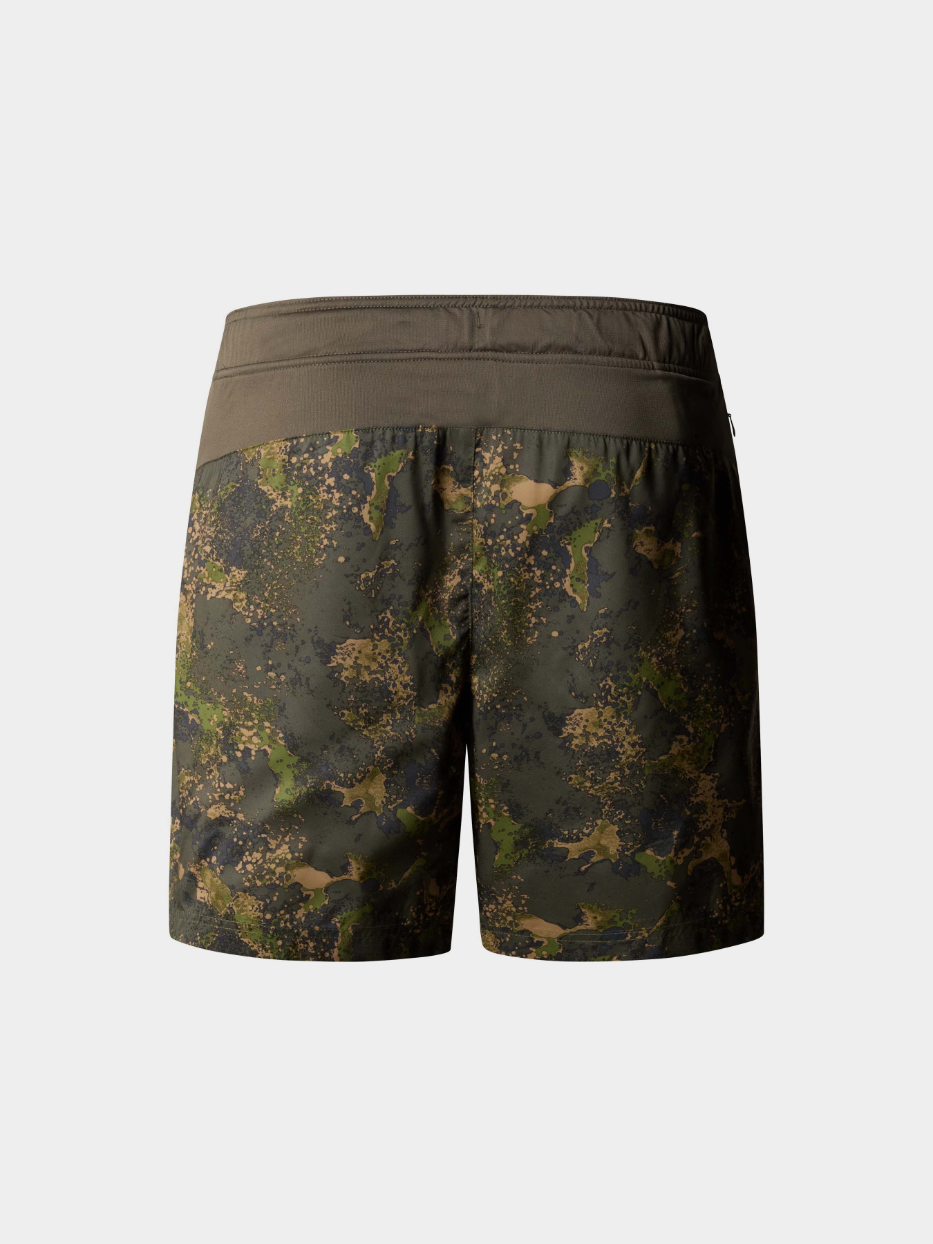 Спортивні шорти The North Face 24/7 Printed Performance Shorts модель NF0A886W1BI1 Фото