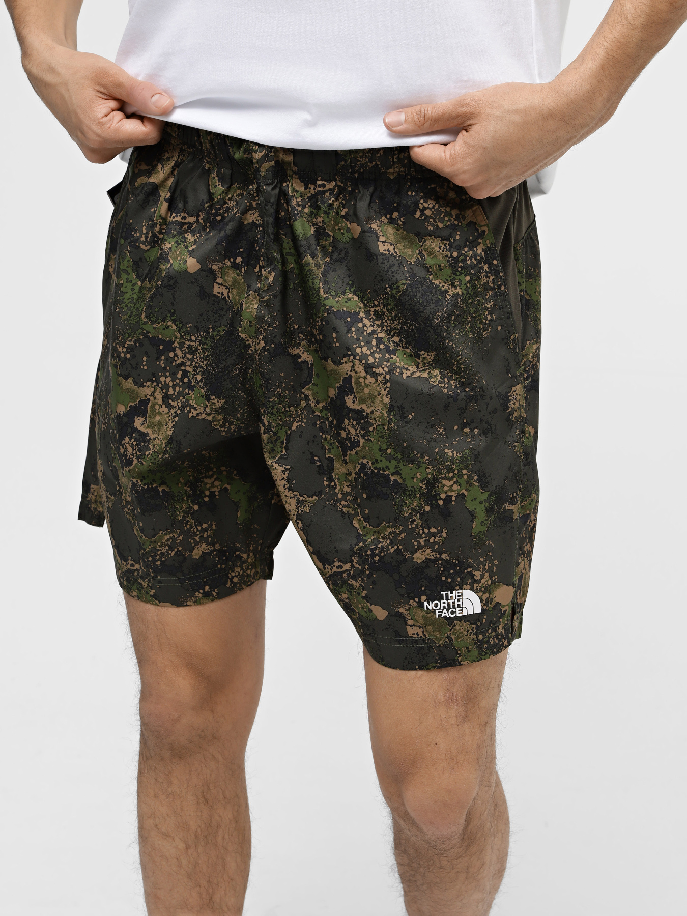 Спортивні шорти The North Face 24/7 Printed Performance Shorts модель NF0A886W1BI1 Фото