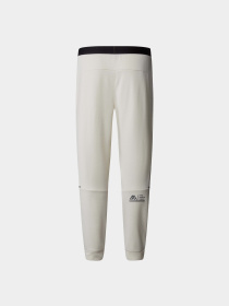 Штаны спортивные The North Face M Ma Lab Jogger модель NF0A88F6QMO1 Фото