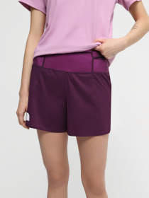 Шорты спортивные The North Face W Summit Pacesetter Short 5in модель NF0A88S5RLO1 Фото