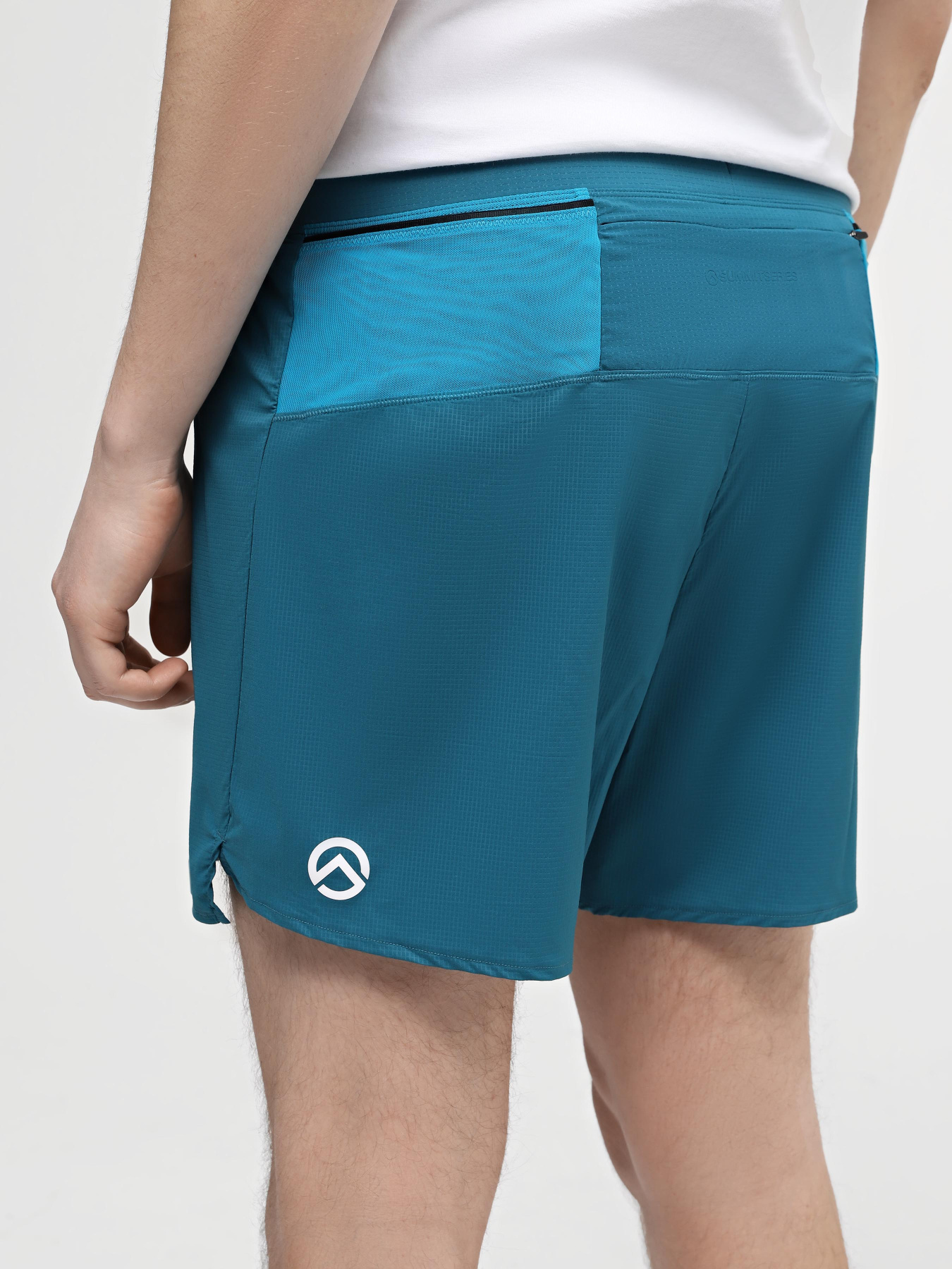 Шорти спортивні The North Face M Summit Pacesetter Short 5in модель NF0A88S6UIE1 Фото