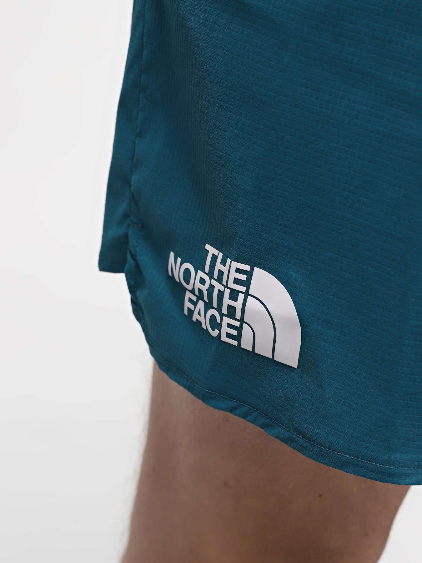 Спортивні шорти The North Face M Summit Pacesetter Short 5in модель NF0A88S6UIE1 Фото