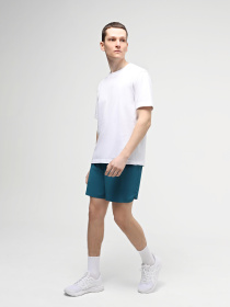 Спортивні шорти The North Face M Summit Pacesetter Short 5in модель NF0A88S6UIE1 Фото