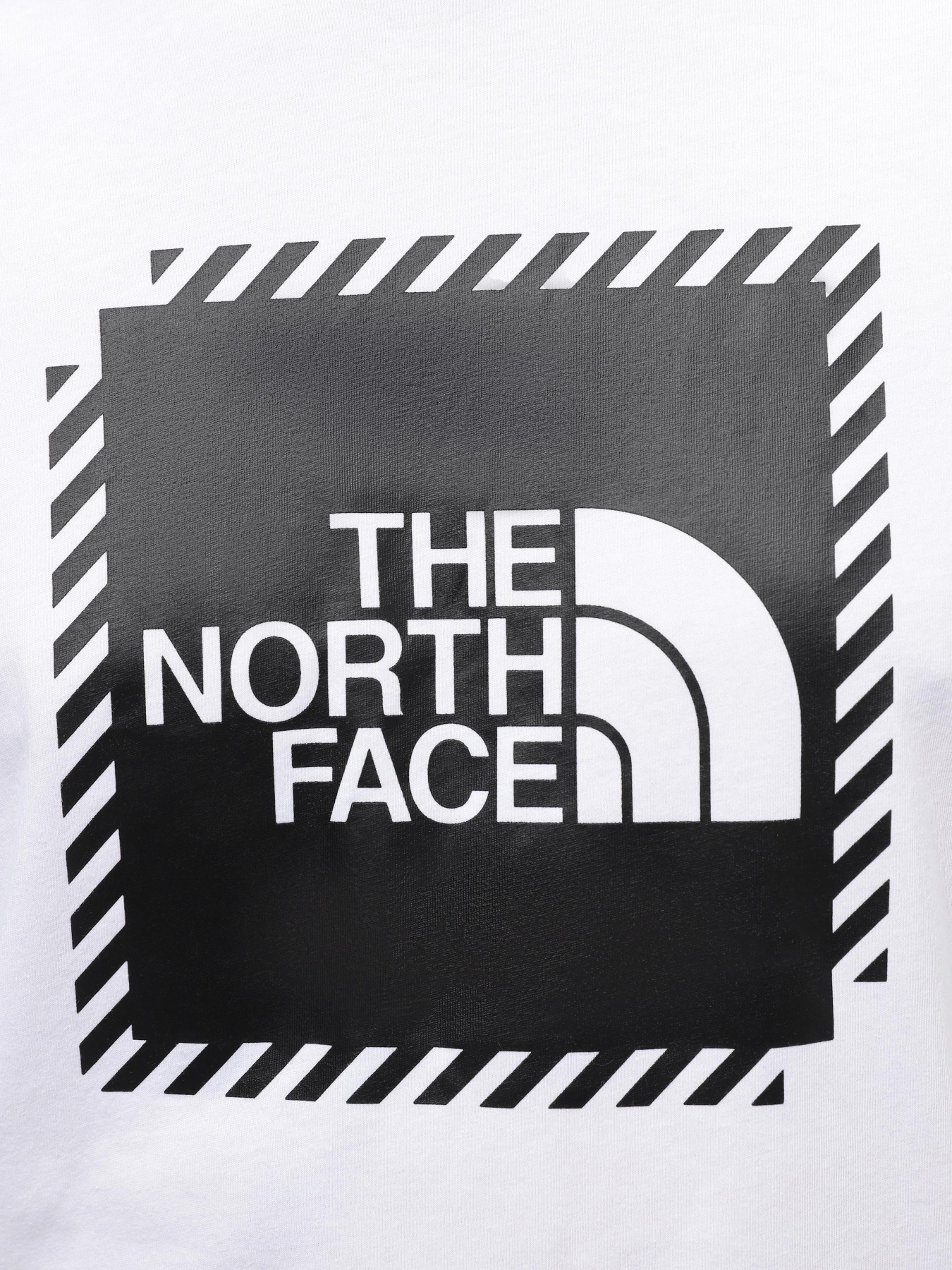 Футболка The North Face M Biner Graphic 2 Tee модель NF0A894YFN41 Фото