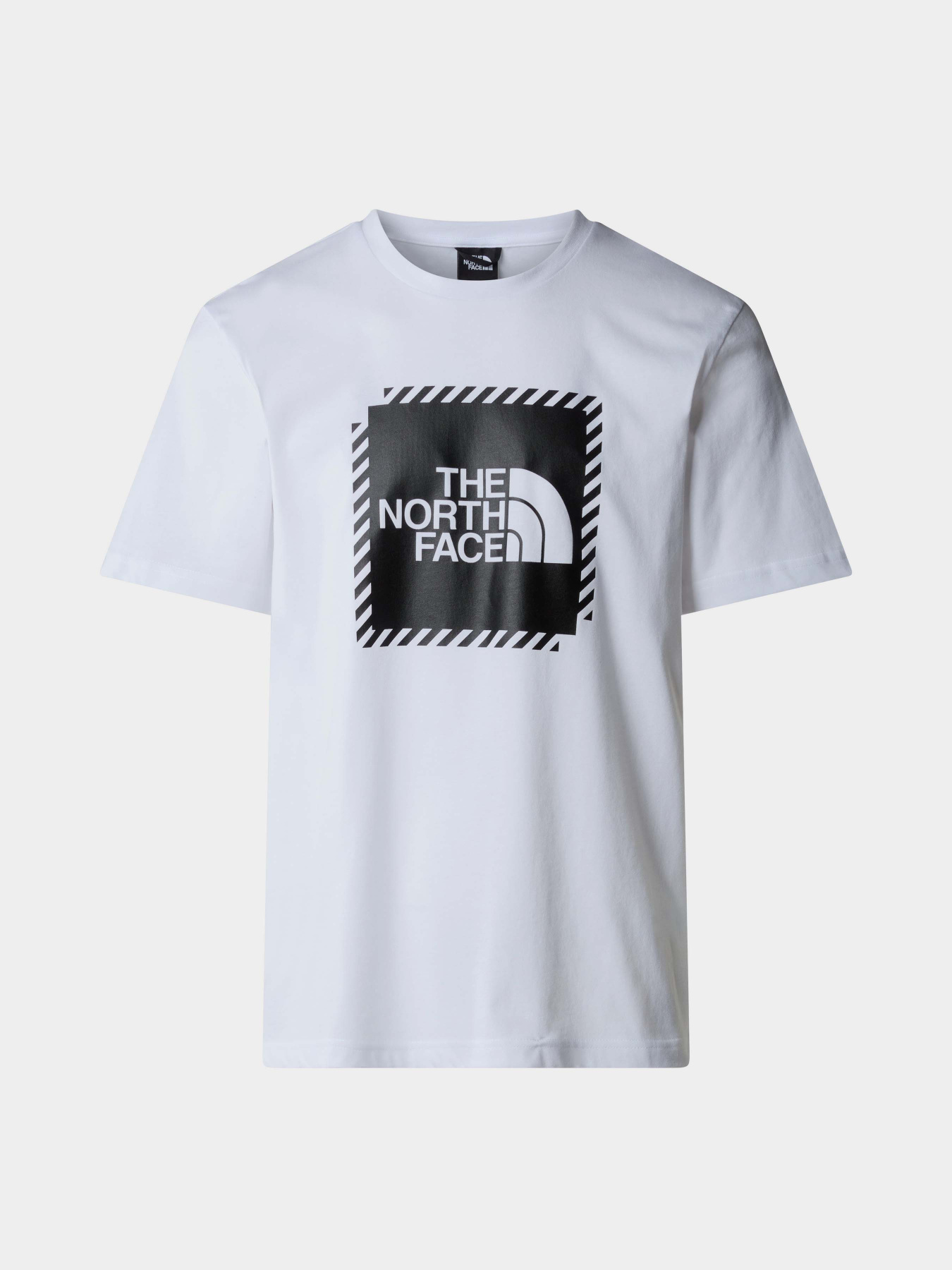 Футболка The North Face M Biner Graphic 2 Tee модель NF0A894YFN41 Фото