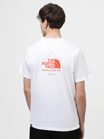 Футболка The North Face Biner Graphic 4 модель NF0A894ZFN41 Фото