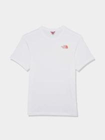 Футболка The North Face Biner Graphic 4 модель NF0A894ZFN41 Фото