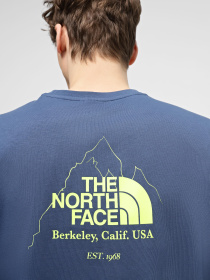 Футболка The North Face Biner Graphic 4 модель NF0A894ZHDC1 Фото