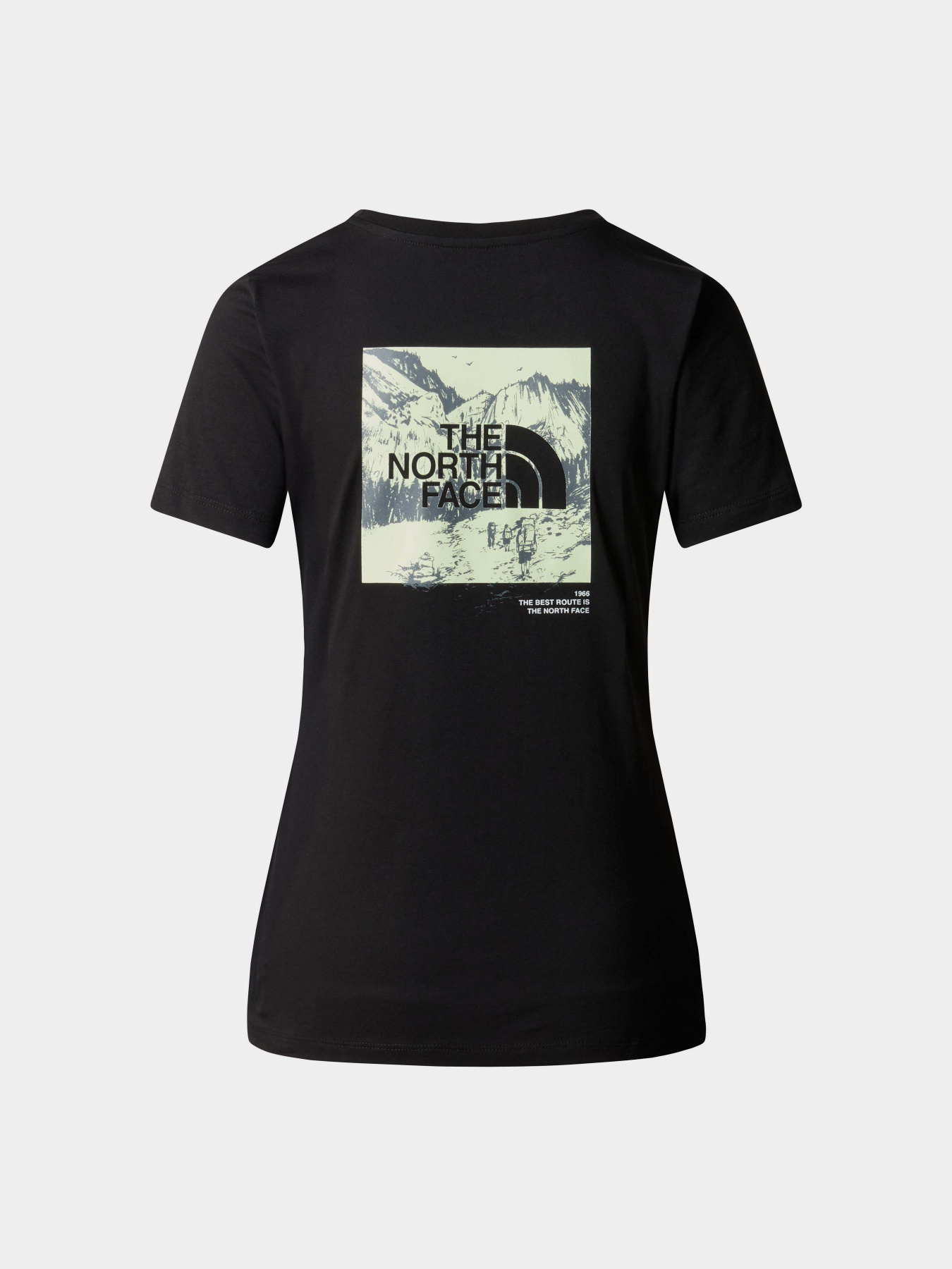 Футболка The North Face Graphic Half Dome модель NF0A8952UK41 Фото