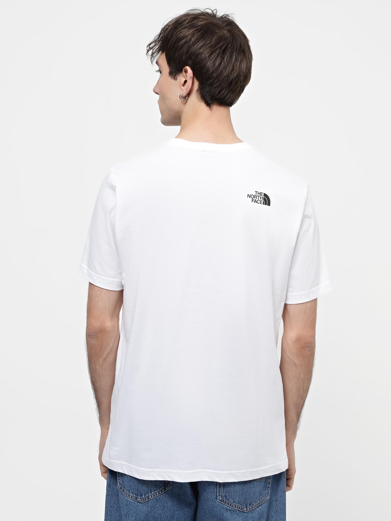 Футболка The North Face M S/S Graphic Half Dome Tee модель NF0A8954FN41 Фото