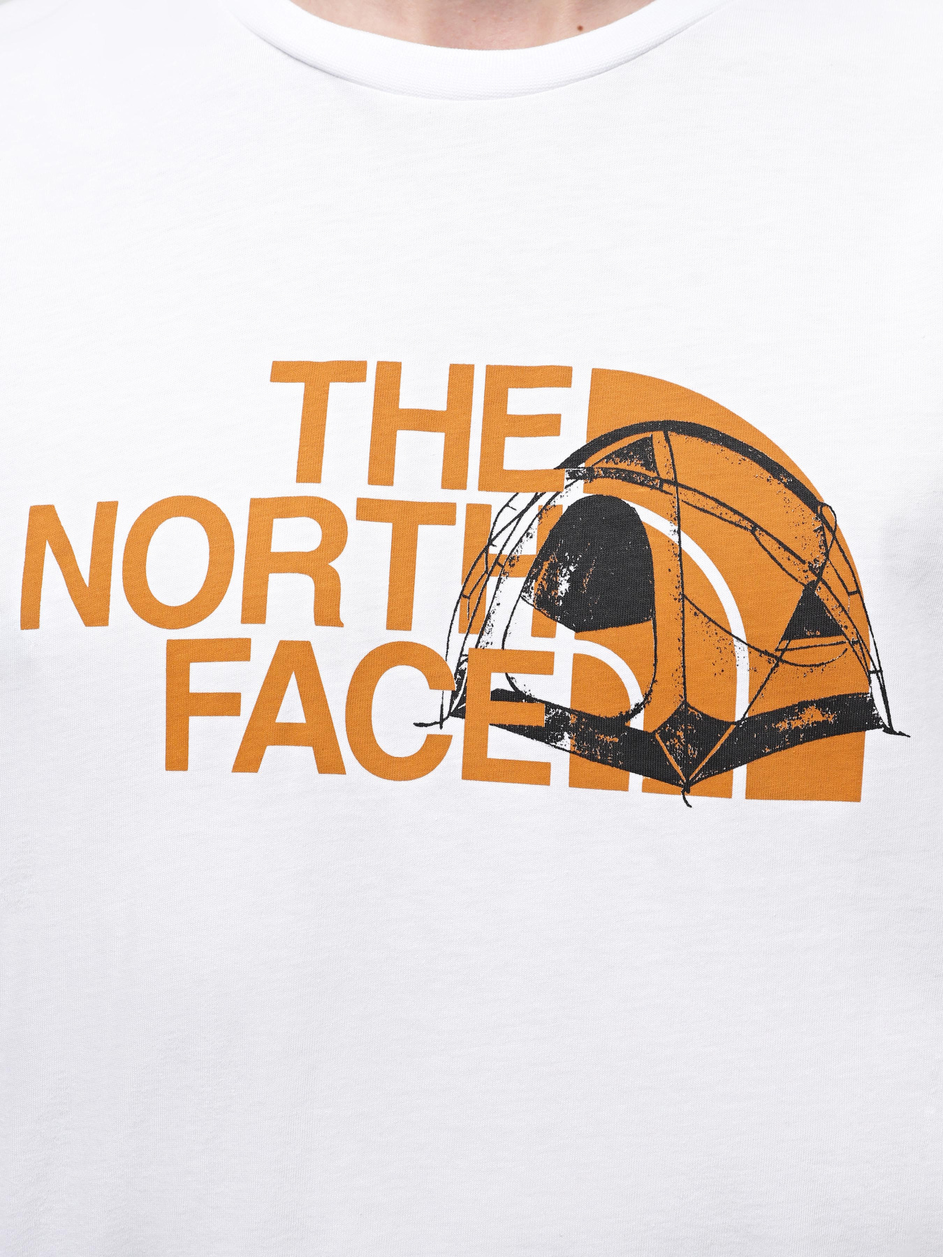Футболка The North Face M S/S Graphic Half Dome Tee модель NF0A8954FN41 Фото