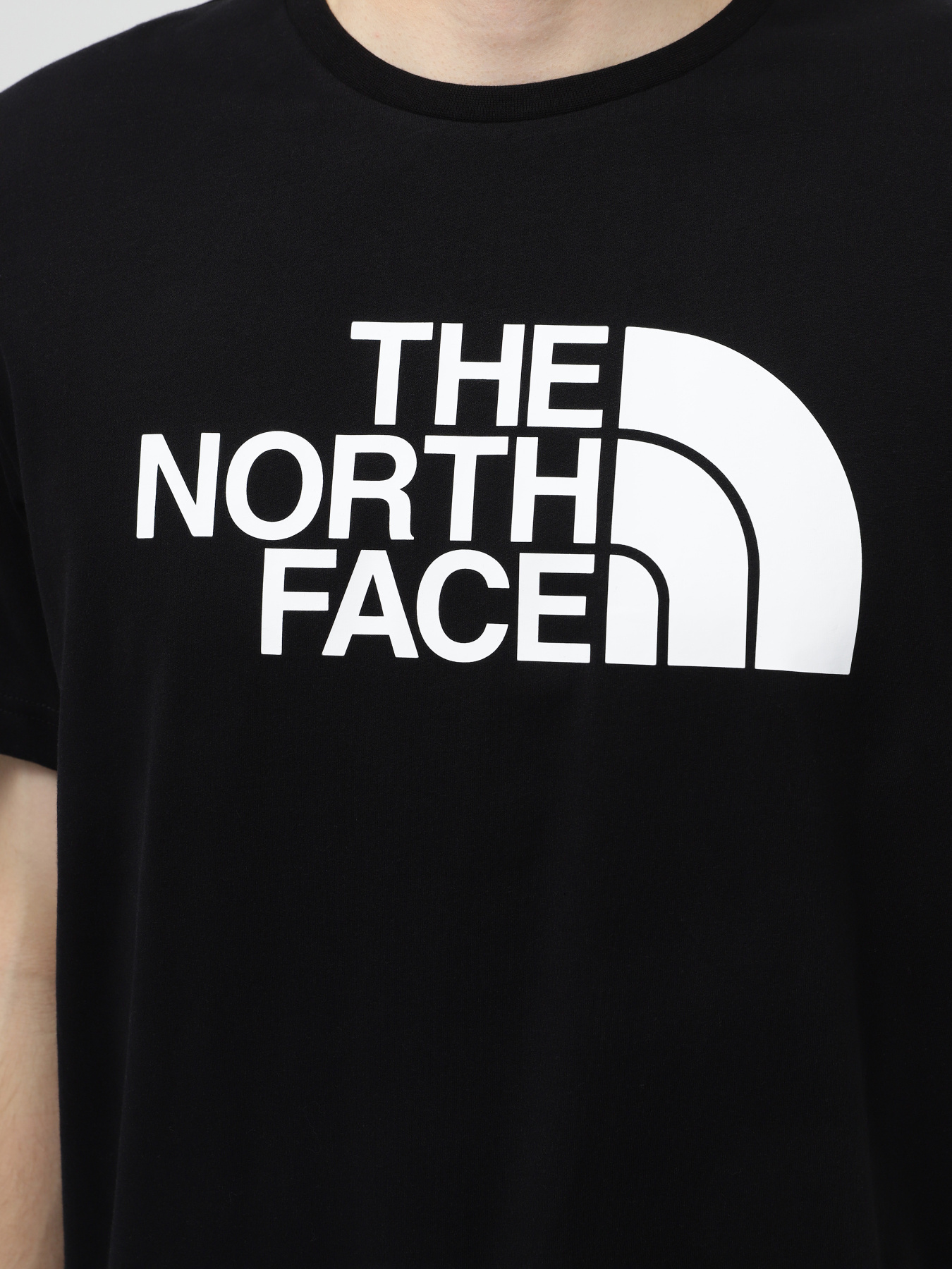 Футболка The North Face M S/S Half Dome Tee - Eu модель NF0A8955JK31 Фото