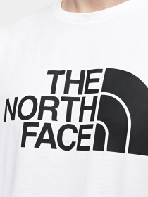 Футболка The North Face M S/S Half Dome Tee - Eu модель NF0A8955FN41 Фото