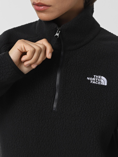 Кофта The North Face High Pile Fleece модель NF0A5IIG4H01 — фото 4 - INTERTOP