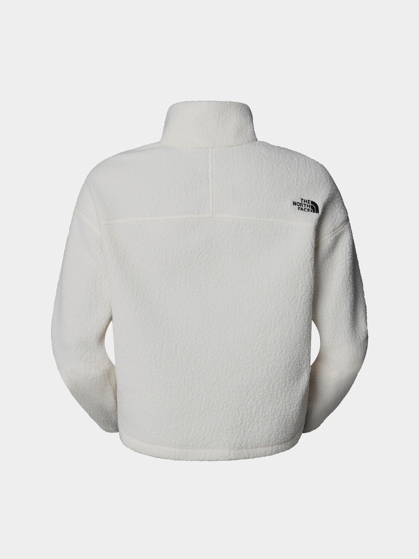 Кофта The North Face High Pile Fleece модель NF0A5IIGQLI1 Фото