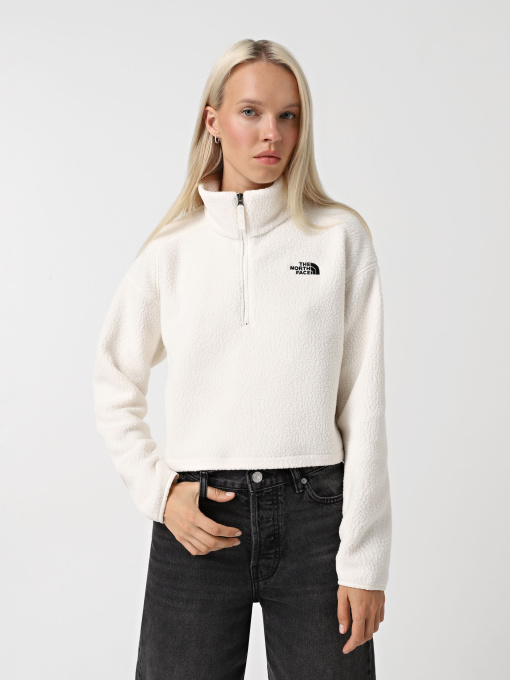 Кофта The North Face High Pile Fleece модель NF0A5IIGQLI1 Фото