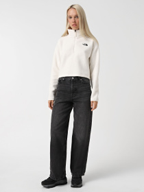 Кофта The North Face High Pile Fleece модель NF0A5IIGQLI1 Фото