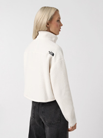 Кофта The North Face High Pile Fleece модель NF0A5IIGQLI1 Фото