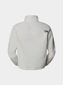 Кофта The North Face High Pile Fleece модель NF0A5IIGQLI1 Фото