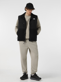 Жилет з утеплювачем The North Face Retro Denali модель NF0A88XJJK31 Фото