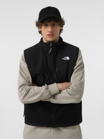 Жилет с утеплителем The North Face Retro Denali модель NF0A88XJJK31 Фото