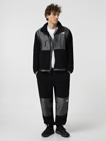 Джоггеры The North Face Retro Denali модель NF0A88XK4O41 Фото