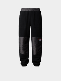 Джоггеры The North Face Retro Denali модель NF0A88XK4O41 Фото