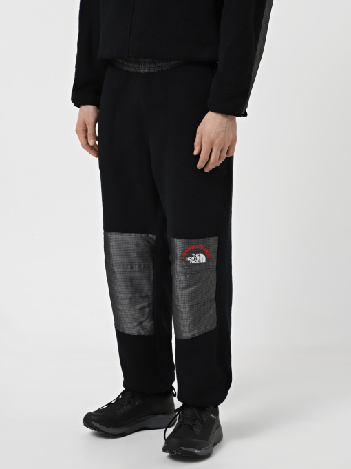 Джоггеры The North Face Retro Denali модель NF0A88XK4O41 Фото