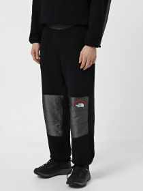 Джогери The North Face Retro Denali модель NF0A88XK4O41 Фото