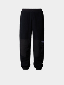 Джоггеры The North Face Retro Denali модель NF0A88XKJK31 Фото