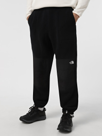 Джоггеры The North Face Retro Denali модель NF0A88XKJK31 Фото