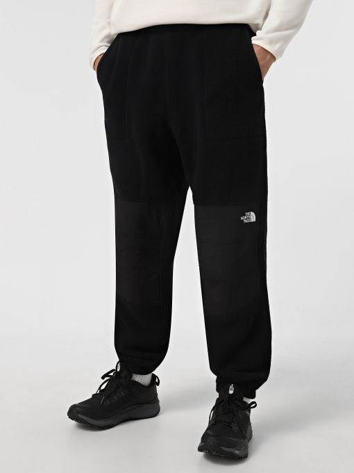 Джоггеры The North Face Retro Denali модель NF0A88XKJK31 Фото