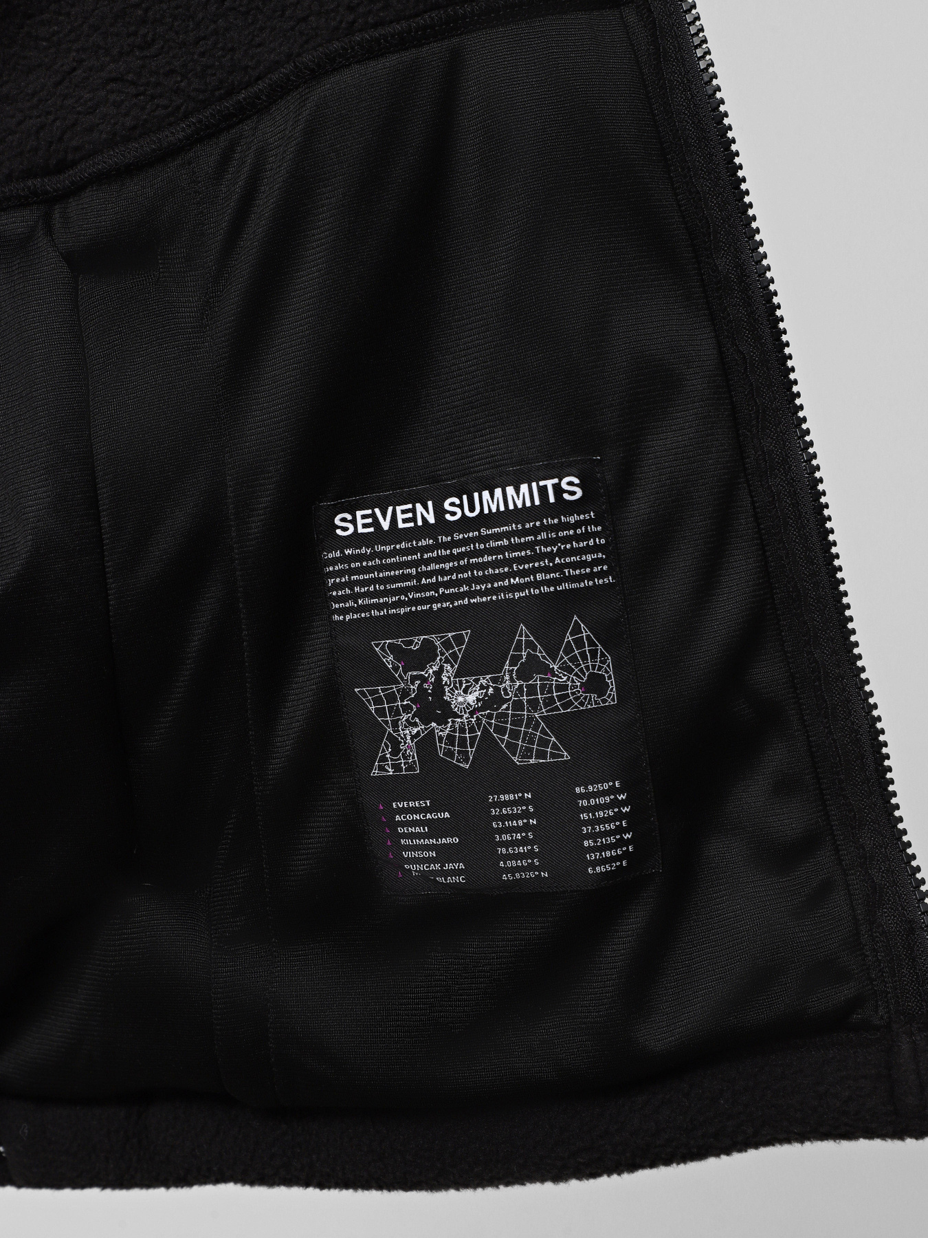 Кофта The North Face Fleeski модель NF0A88XQJK31 Фото