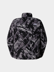 Кофта The North Face Fleeski модель NF0A88XR3VO1 Фото