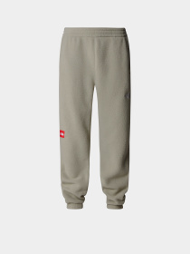 Джоггеры The North Face Fleeski модель NF0A88XS1I41 Фото