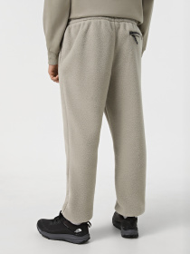 Джогери The North Face Fleeski модель NF0A88XS1I41 Фото