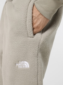 Джогери The North Face Fleeski модель NF0A88XS1I41 Фото