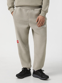 Джогери The North Face Fleeski модель NF0A88XS1I41 Фото