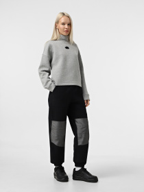 Джоггеры The North Face Retro Denali модель NF0A88YS4O41 Фото