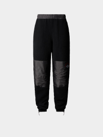 Джоггеры The North Face Retro Denali модель NF0A88YS4O41 Фото