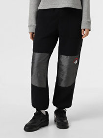 Джоггеры The North Face Retro Denali модель NF0A88YS4O41 Фото