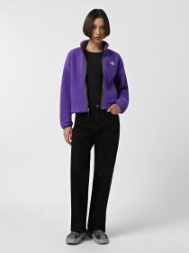 Кофта The North Face Fleeski Модель NF0A88Z2NL41 Фото