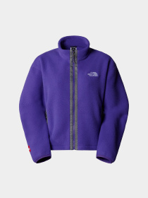 Кофта The North Face Fleeski Модель NF0A88Z2NL41 Фото