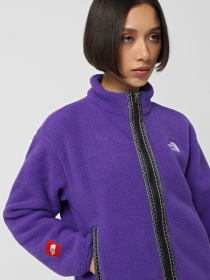 Кофта The North Face Fleeski модель NF0A88Z2NL41 Фото